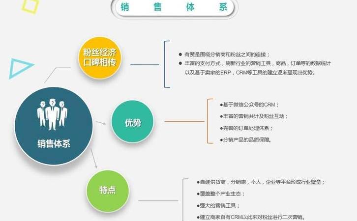 二类电商怎样选品牌（二类电商怎样选择）