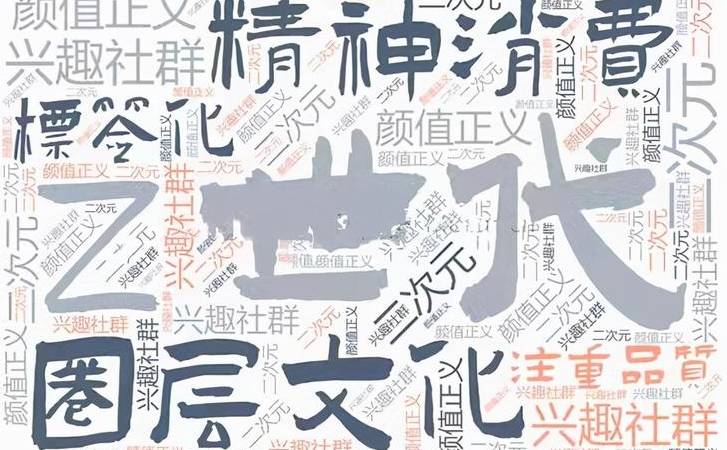 小红书属于sns吗（小红书社交媒体营销）