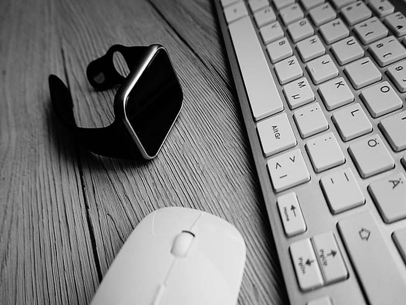 程序的三种基本控制结构（程序的三种基本控制结构不包括）